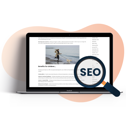 seo review